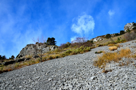 611749 (a): :2450x1625